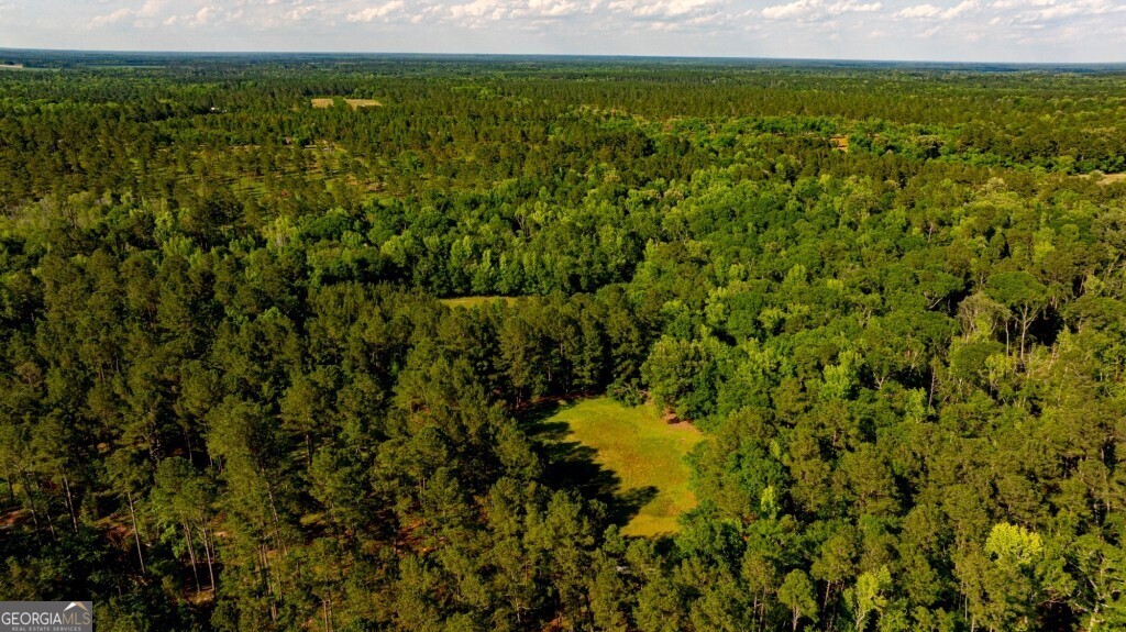 426 Wadley Coleman Lake RD