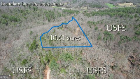 Photo of 457 Youngblood Drive, Blairsville, GA 30512 (MLS # 10719841)