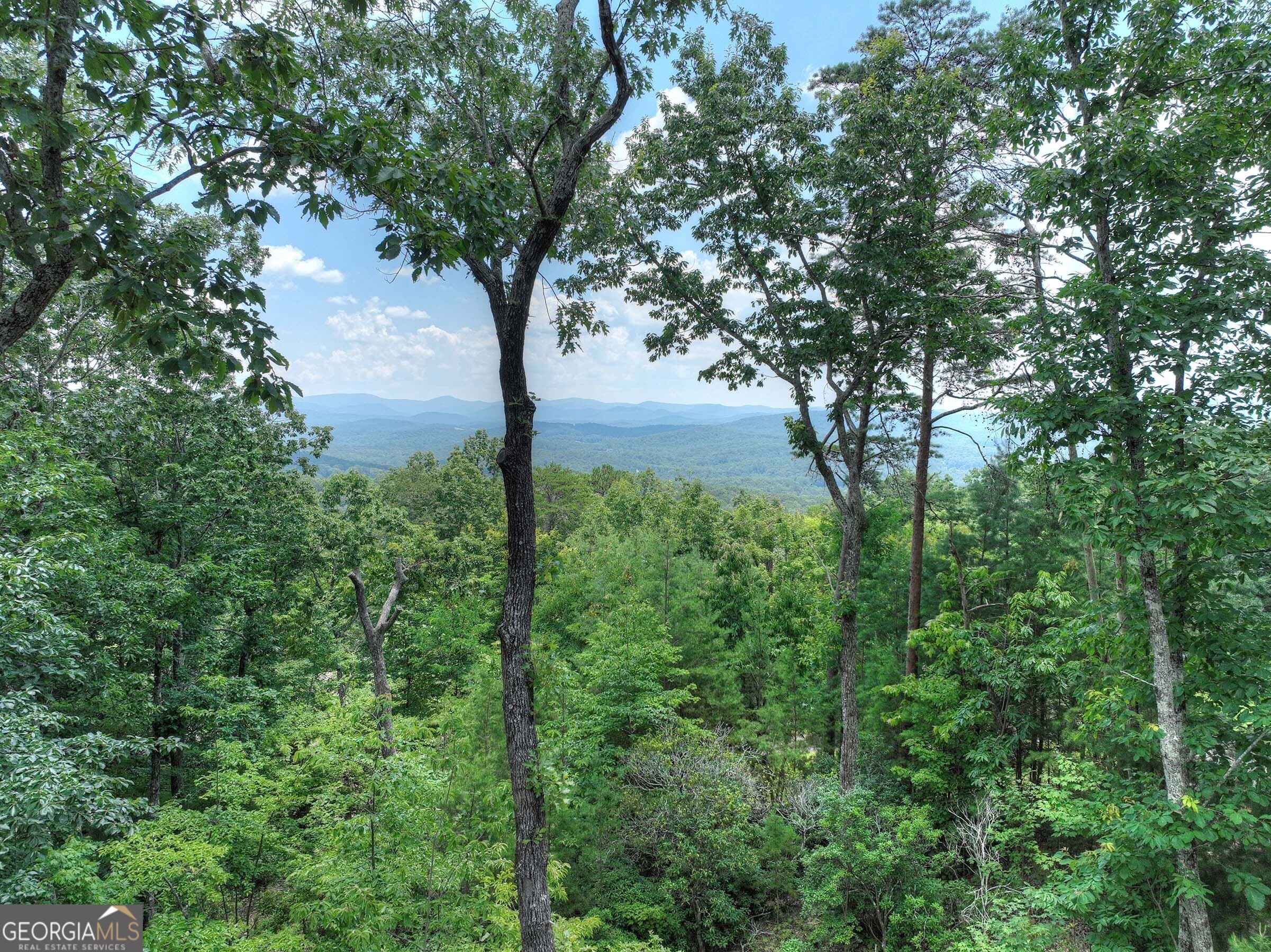 768 Cherokee CIR