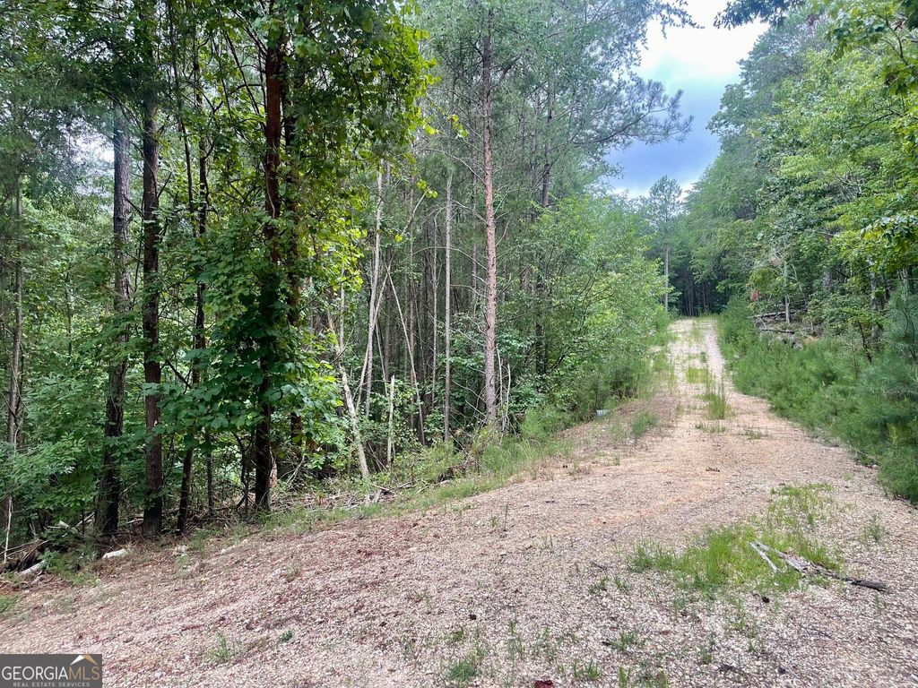Photo of 0 White Oak Rd, Summerville, GA 30747 (MLS # 10670781)