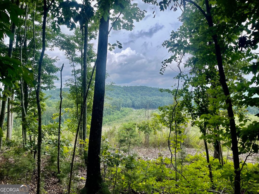 Photo of 0 White Oak Rd, Summerville, GA 30747 (MLS # 10670781)