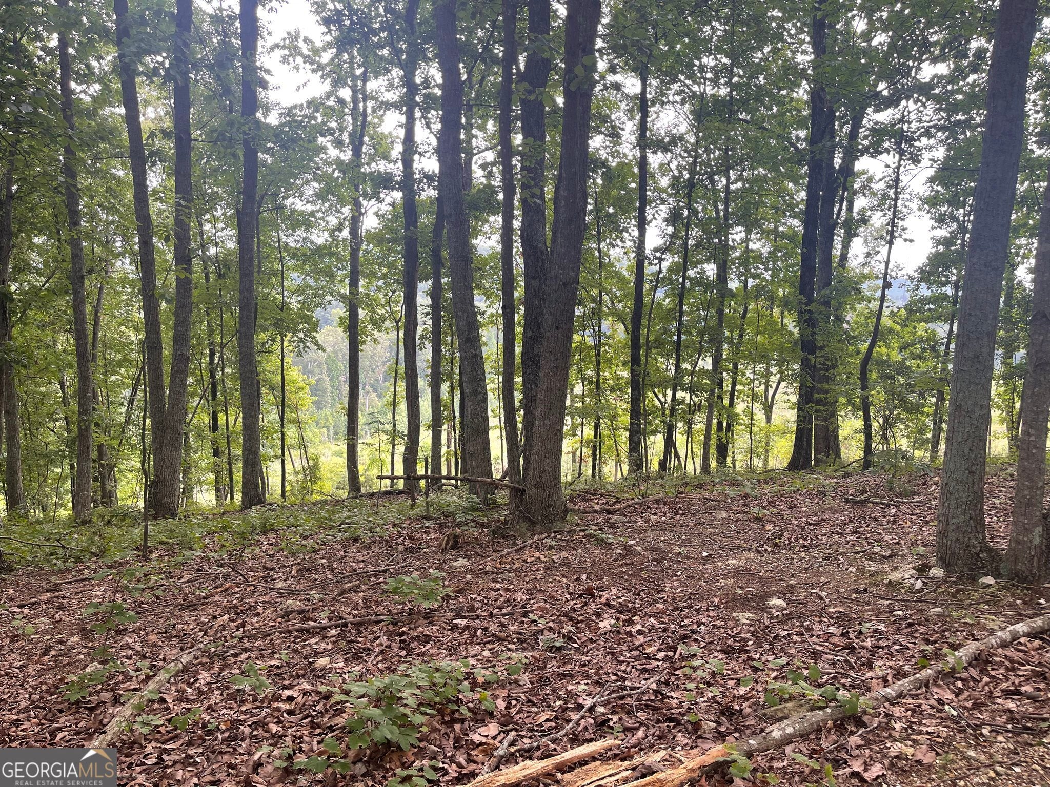 0 White Oak RD