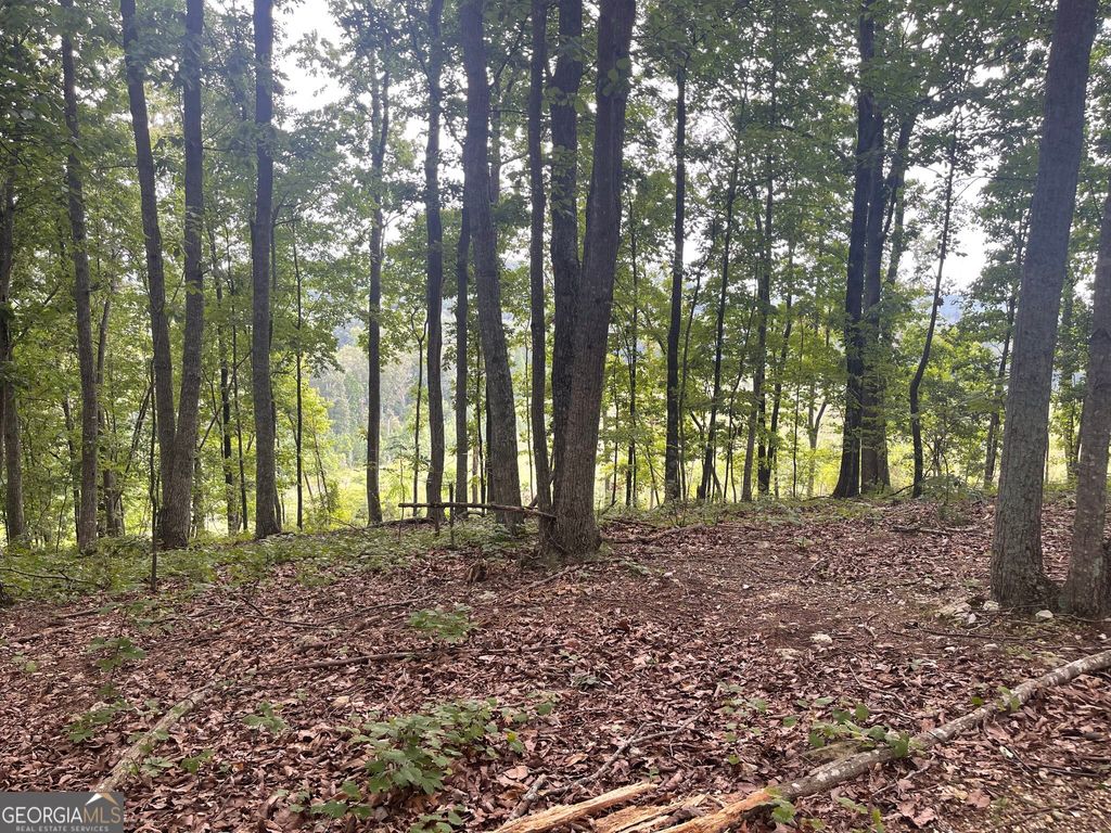 Photo of 0 White Oak Rd, Summerville, GA 30747 (MLS # 10670781)