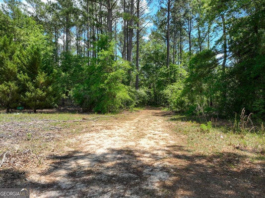 760 MEMPHIS RD, METTER, GA 30439 - Image fdb02a3ef56c85ed799a908fb8540ca9/3092395868