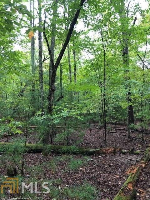 Hunter'S Ridge Subdivision - Land