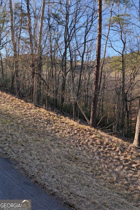 282 Chickasaw DR Waleska GA 30183