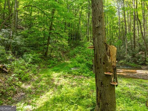 A home in Cherry Log