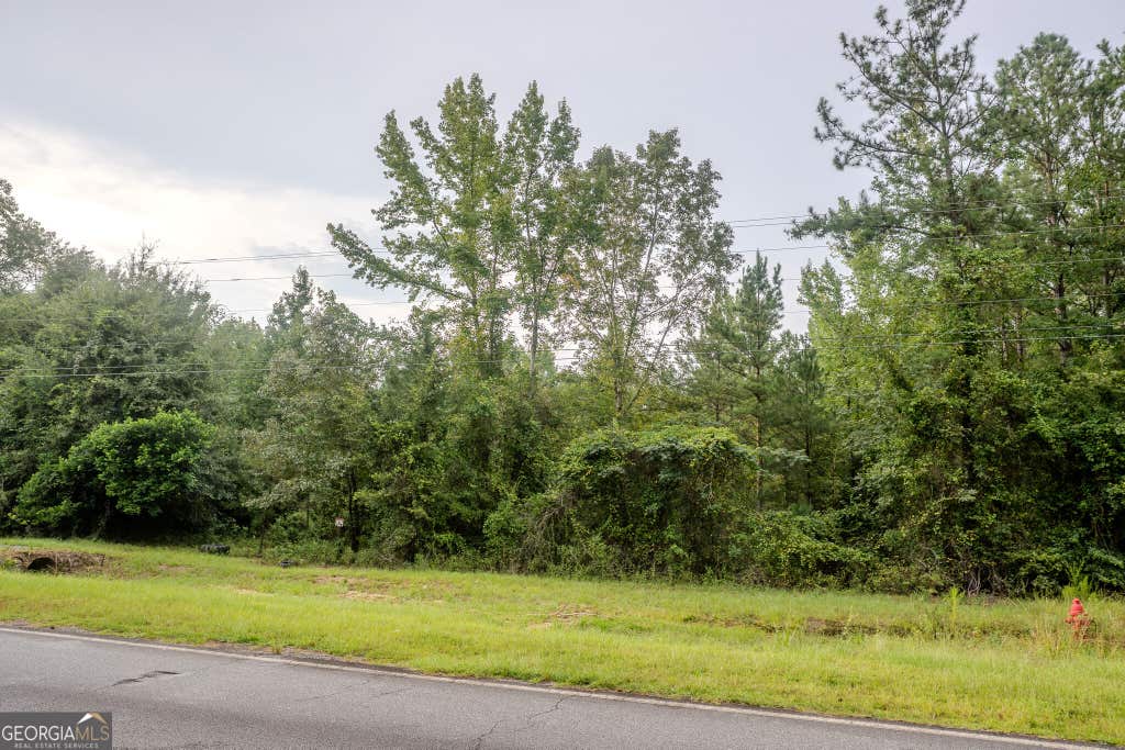 Photo of 3825 Masseyville Road, Macon, GA 31217 (MLS # 10827636)