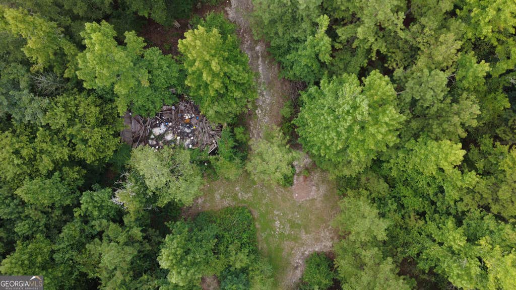Photo of 3825 Masseyville Road, Macon, GA 31217 (MLS # 10827636)