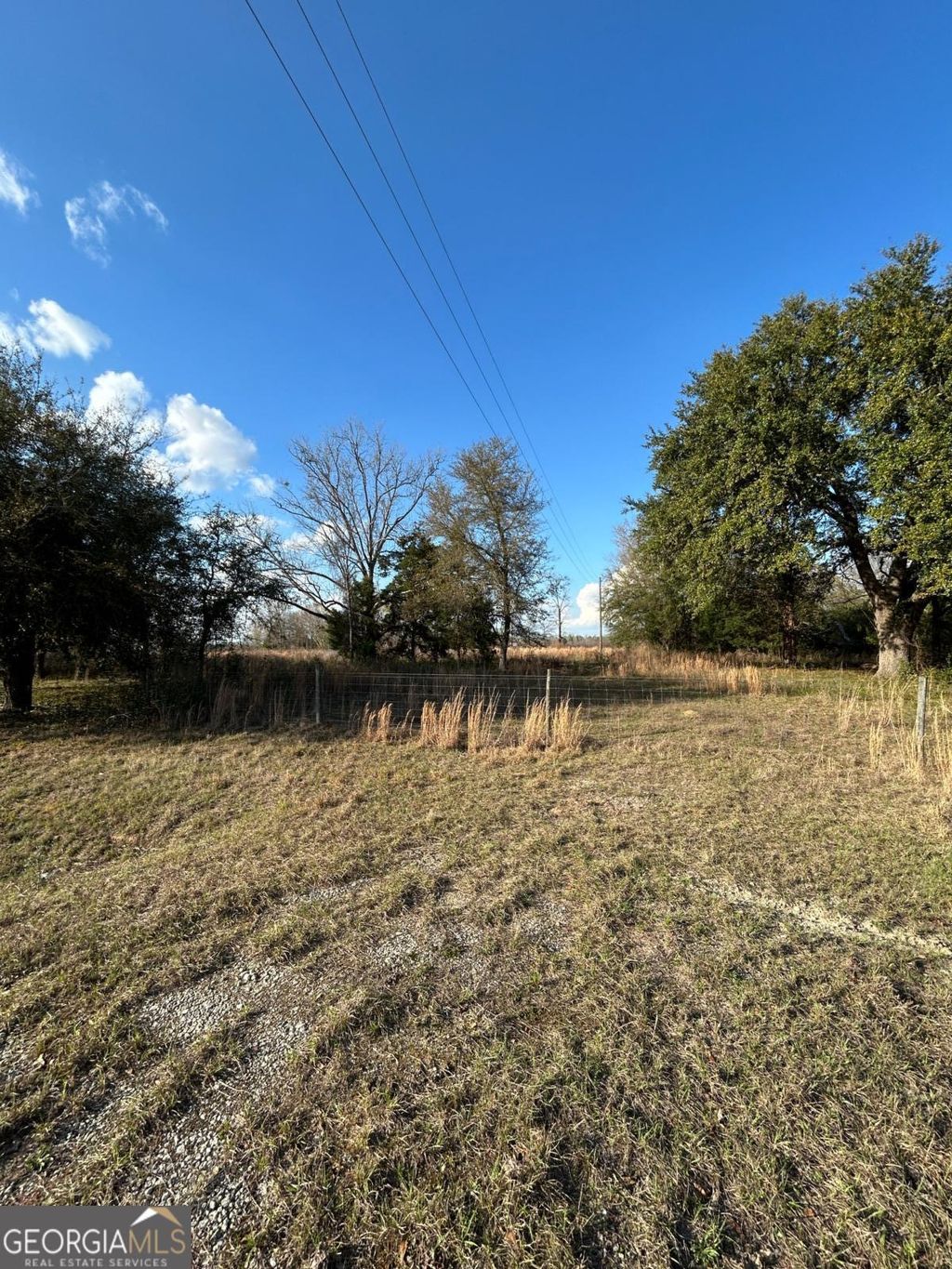 Photo of 0 Scotts Store Road, Millen, GA 30442 (MLS # 10710100)