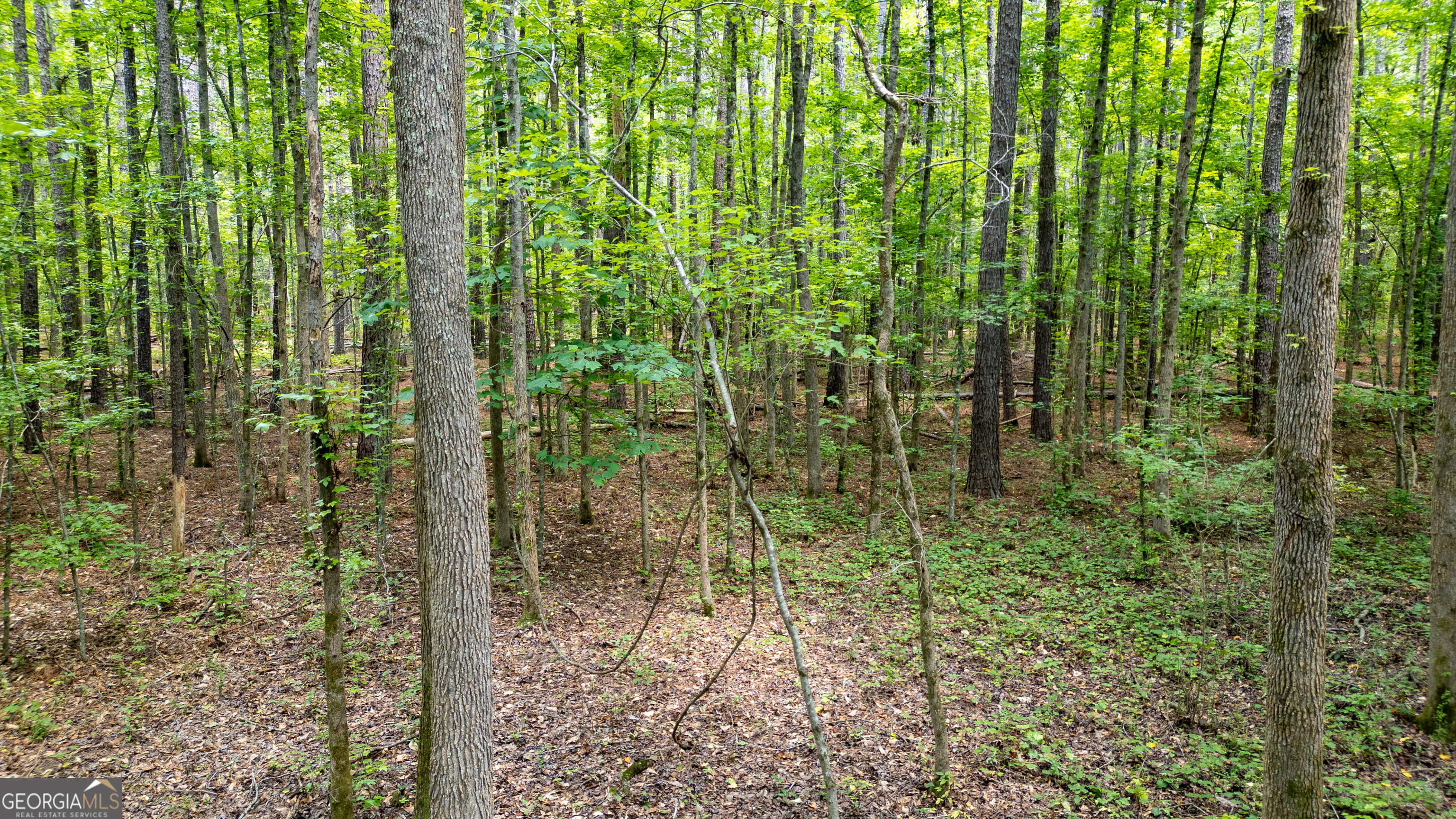 0 Highway 34 W 5.03+/- ACRES