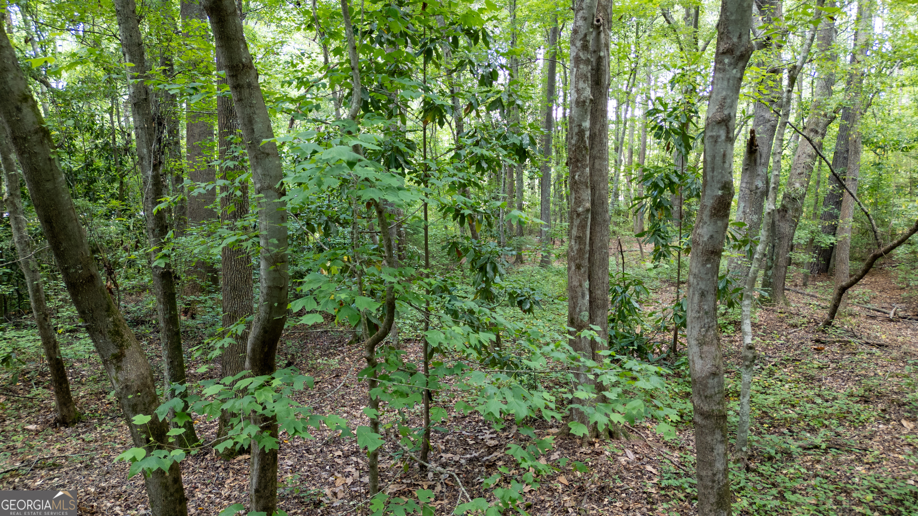 0 Highway 34 W 5.03+/- ACRES