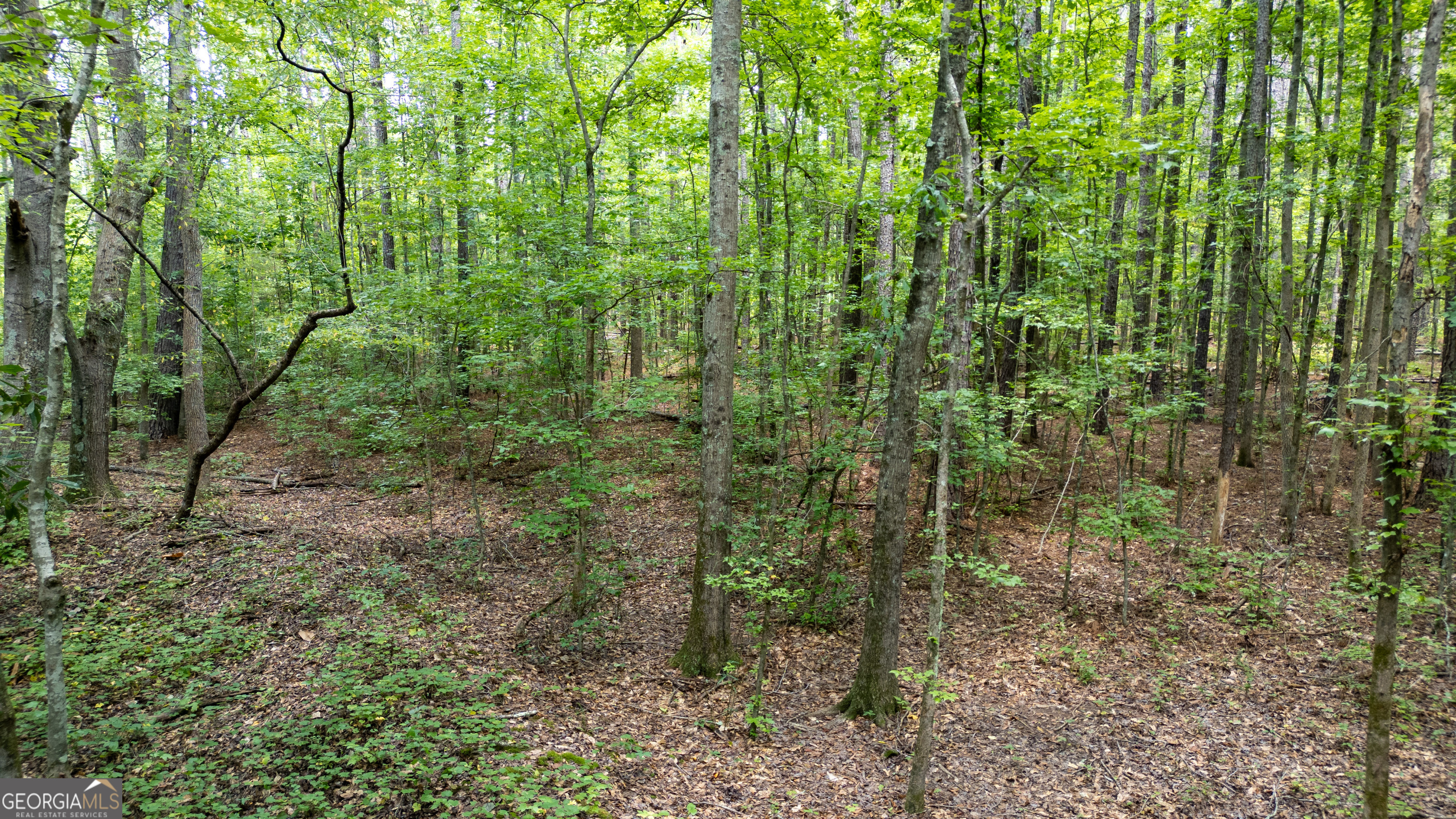 0 Highway 34 W 5.03+/- ACRES