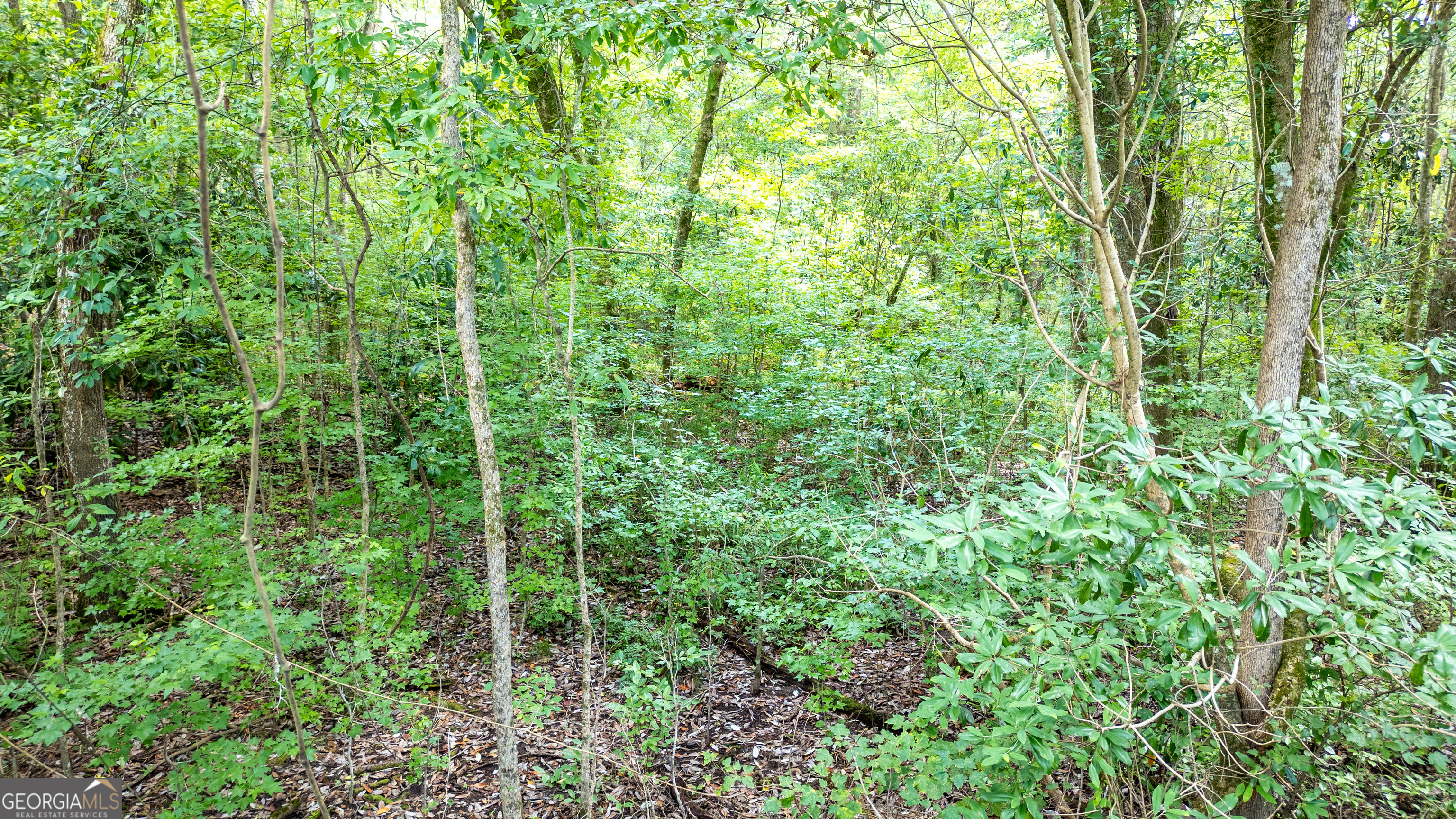 0 Highway 34 W 5.03+/- ACRES
