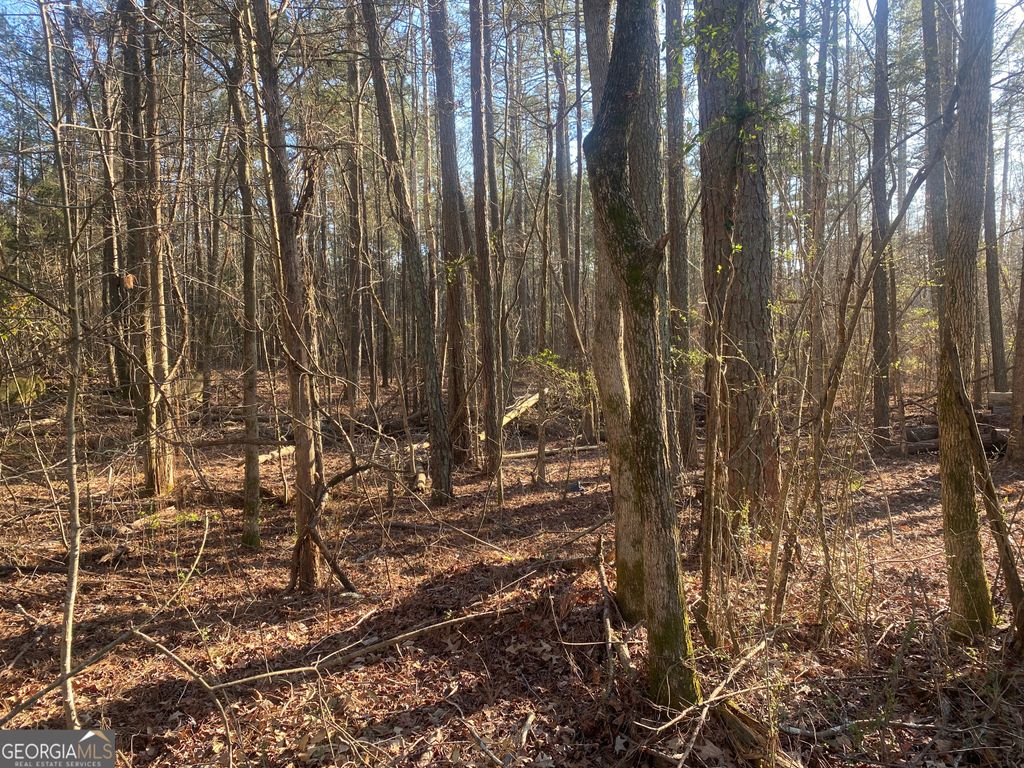Photo of 0 Corinth Five Points Rd, Buchanan, GA 30113 (MLS # 10704513)