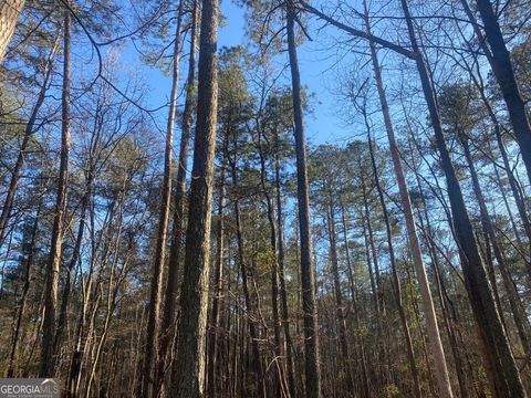Photo of 0 Corinth Five Points Road, Buchanan, GA 30113 (MLS # 10704513)