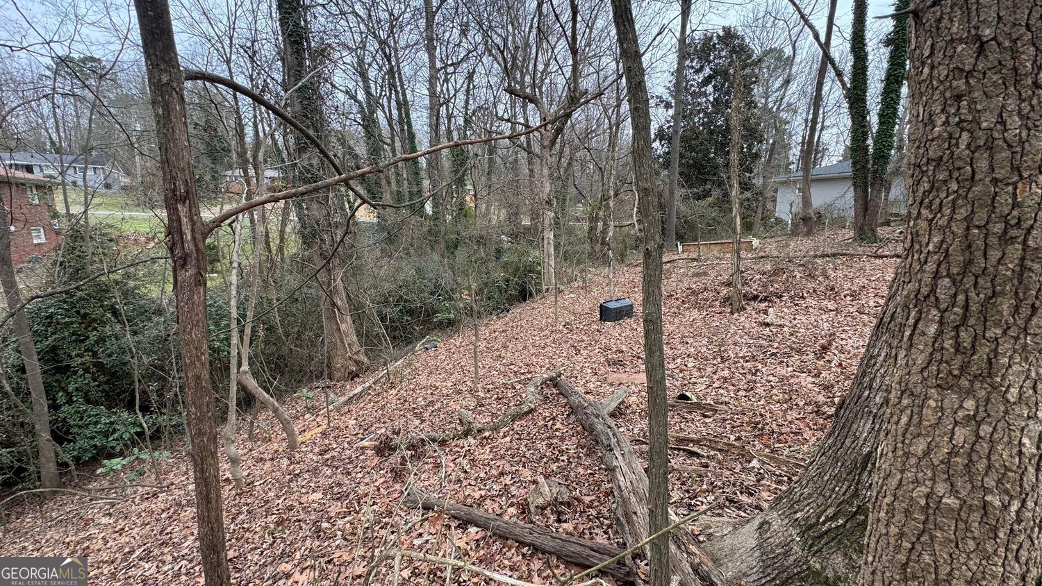 CRESCENT PARK WOODS - Land