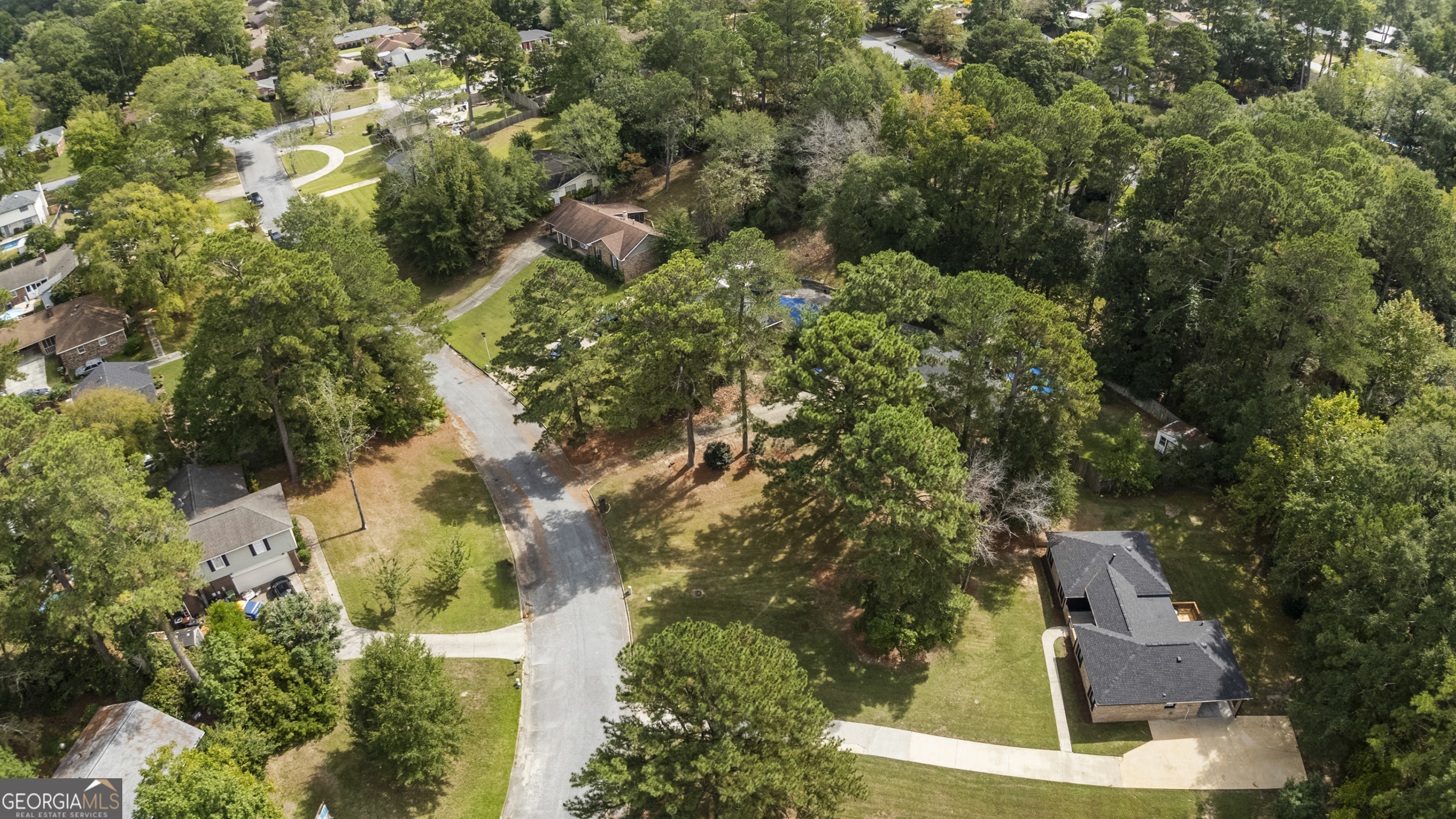6943 Cinnamon LOOP