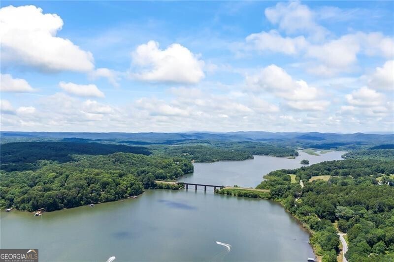 81 Lookout PT