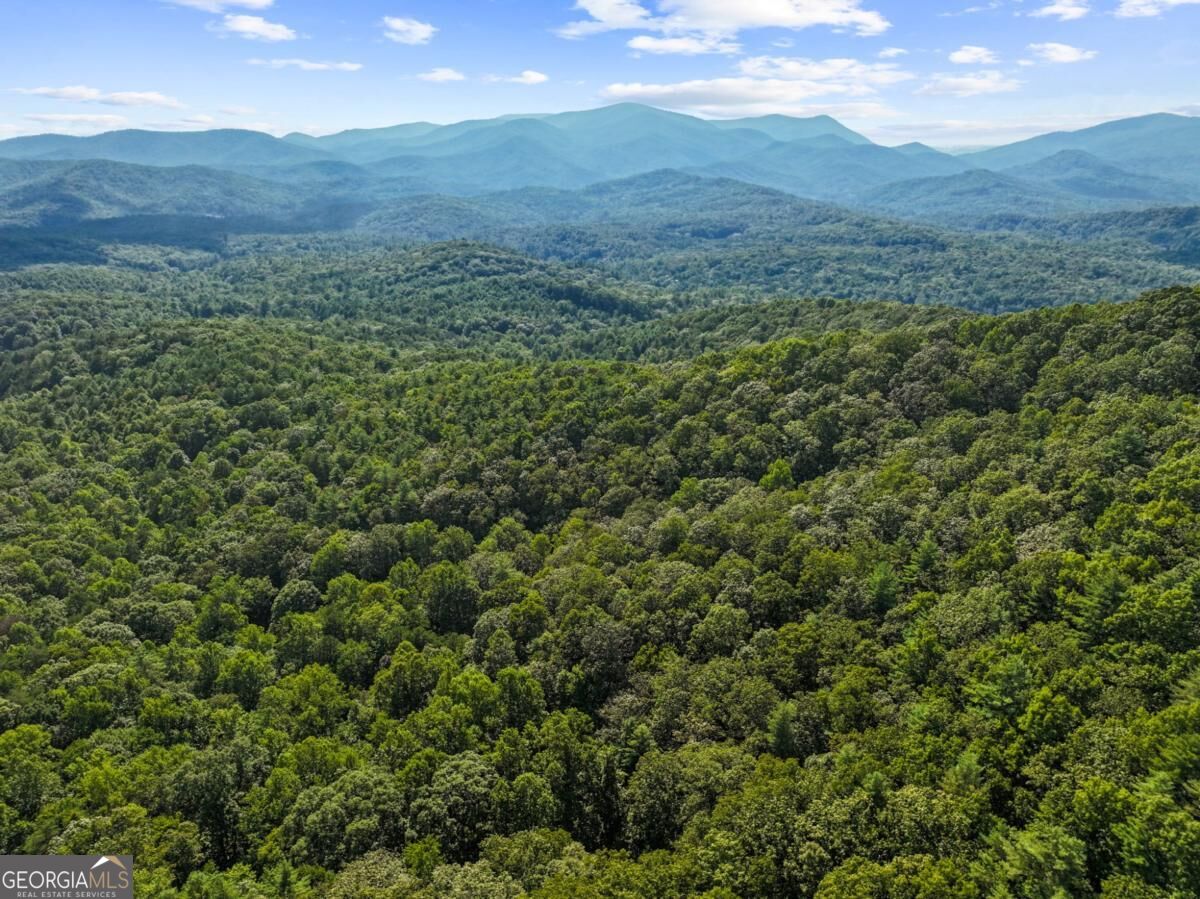 5.5 ACRE Forest Service Rd 35
