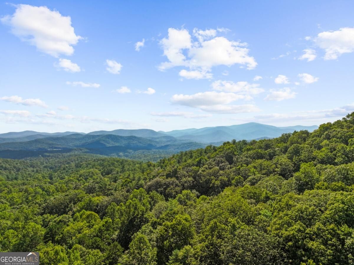 5.5 ACRE Forest Service Rd 35