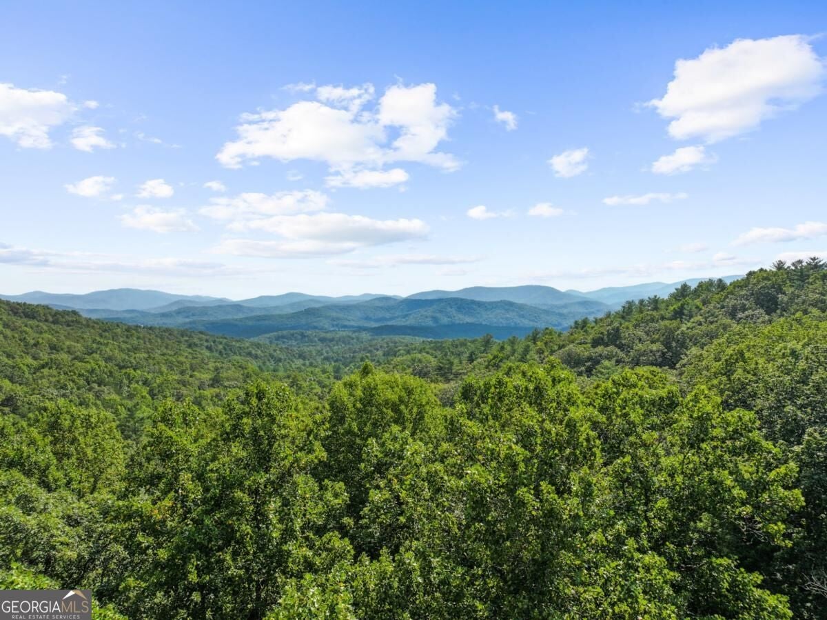 5.5 ACRE Forest Service Rd 35