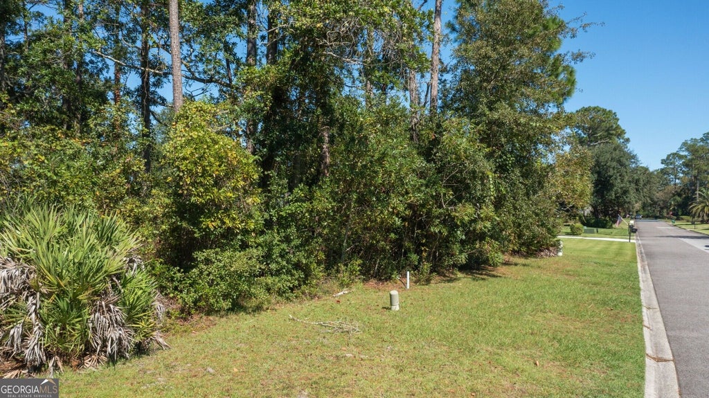 Photo of 377 Osprey Circle, Saint Marys, GA 31558 (MLS # 10872951)