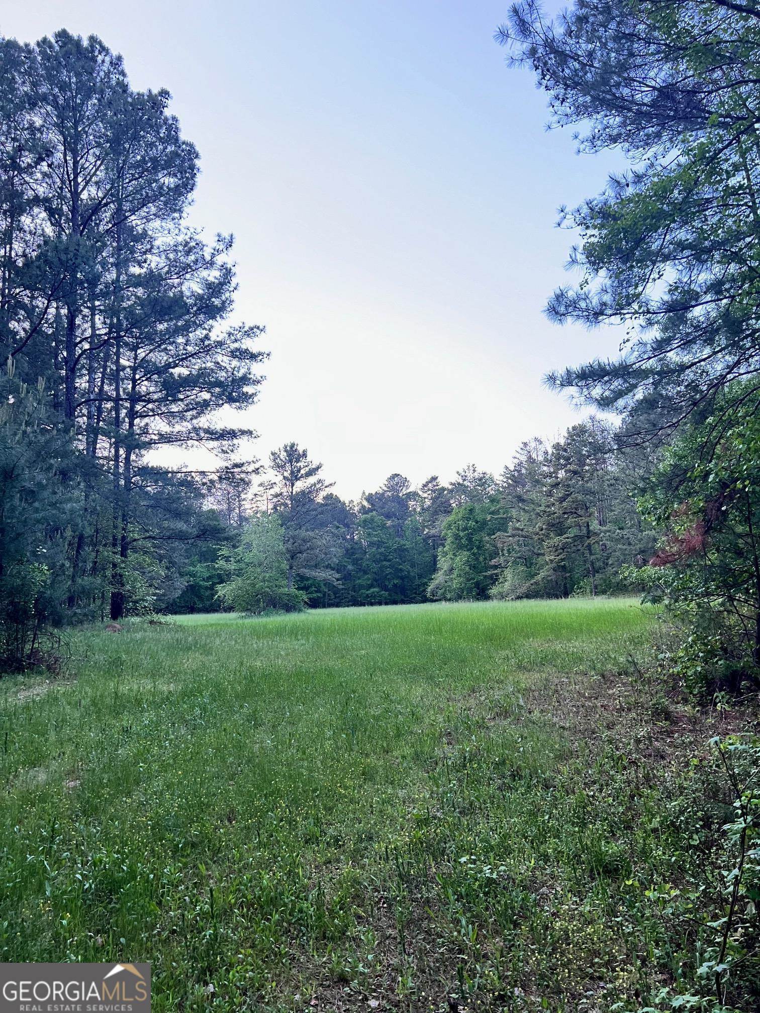 Oconee county opportunity. Nestled quietly on JT Elder road, this 160+- large tract of land offers 2000+- ft of well maintained gravel road frontage with a variety of old timber throughout. This oasis features a natural stream, fields and lots of wildlife to enjoy. Whether you are looking to build or enjoy for recreational purposes, this is the property for you! The seller is willing to sell the property as a whole or subdivide into these options. Subdivide 50+- acres located on the right side of the road to sell as a 50+- tract. Subdivide the 110+- acres on the left side of the road to sell as a 110+- acre tract. Subdivide the 50+- acres on the right side into two 25+- acre tracts. Subdivide the 110+- acres on the left side into two 55+- acre tracts. Price is 25k per acre.