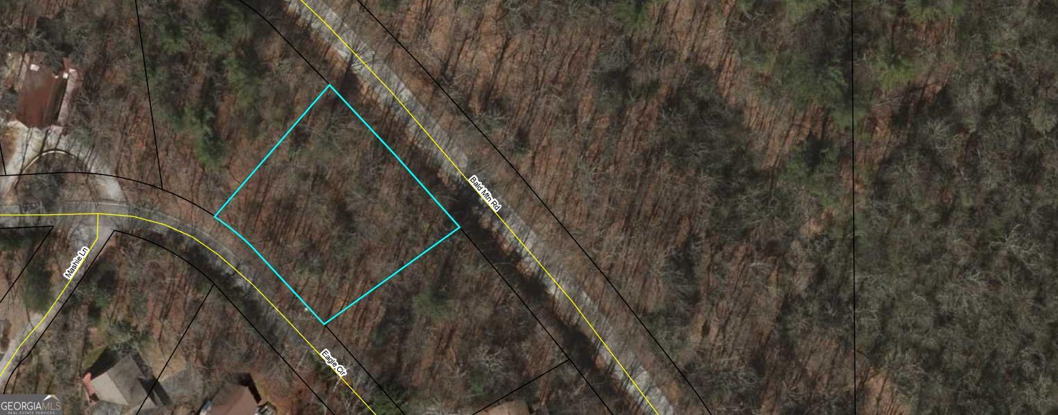 Nice, level, wooded land in Sky Valley. Partially cleared building lot with a 4-bedroom Septic System already installed. City Water hook up available with a fee. Get your house plan and Building permit and get to work building your dream home soon. Located off Eagle Circle in Sky Valley, GA. Only minutes from Clayton, GA and Highlands, NC. Several hiking trails, waterfalls, and wineries nearby. With paid membership to Sky Valley Golf Club, you can have several amenities, it is not a requirement to join the Club or the HOA. Sky Valley City Taxes are required, and they do require a minimum square footage of 1,750 square foot homes.