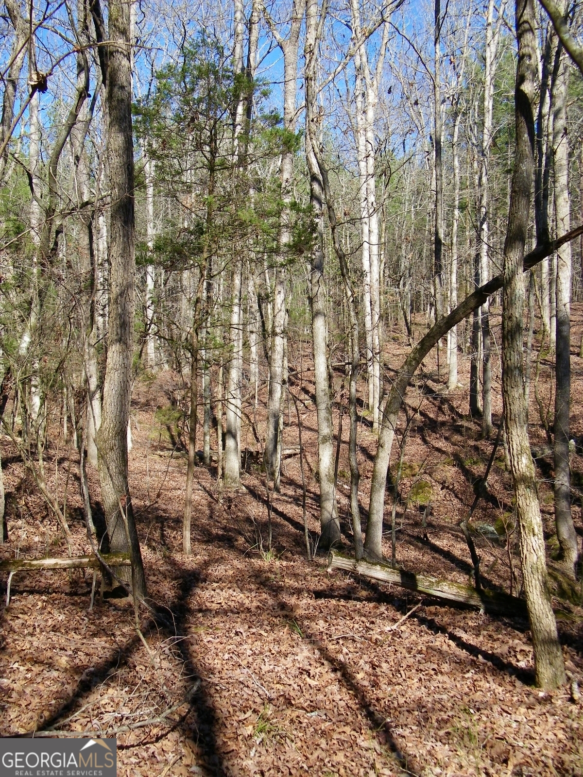 LOT 17 Blackberry Bend