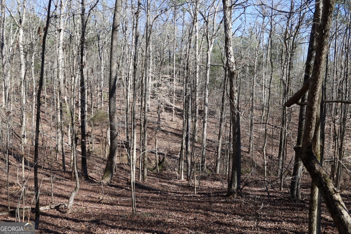 LOT 17 Blackberry Bend