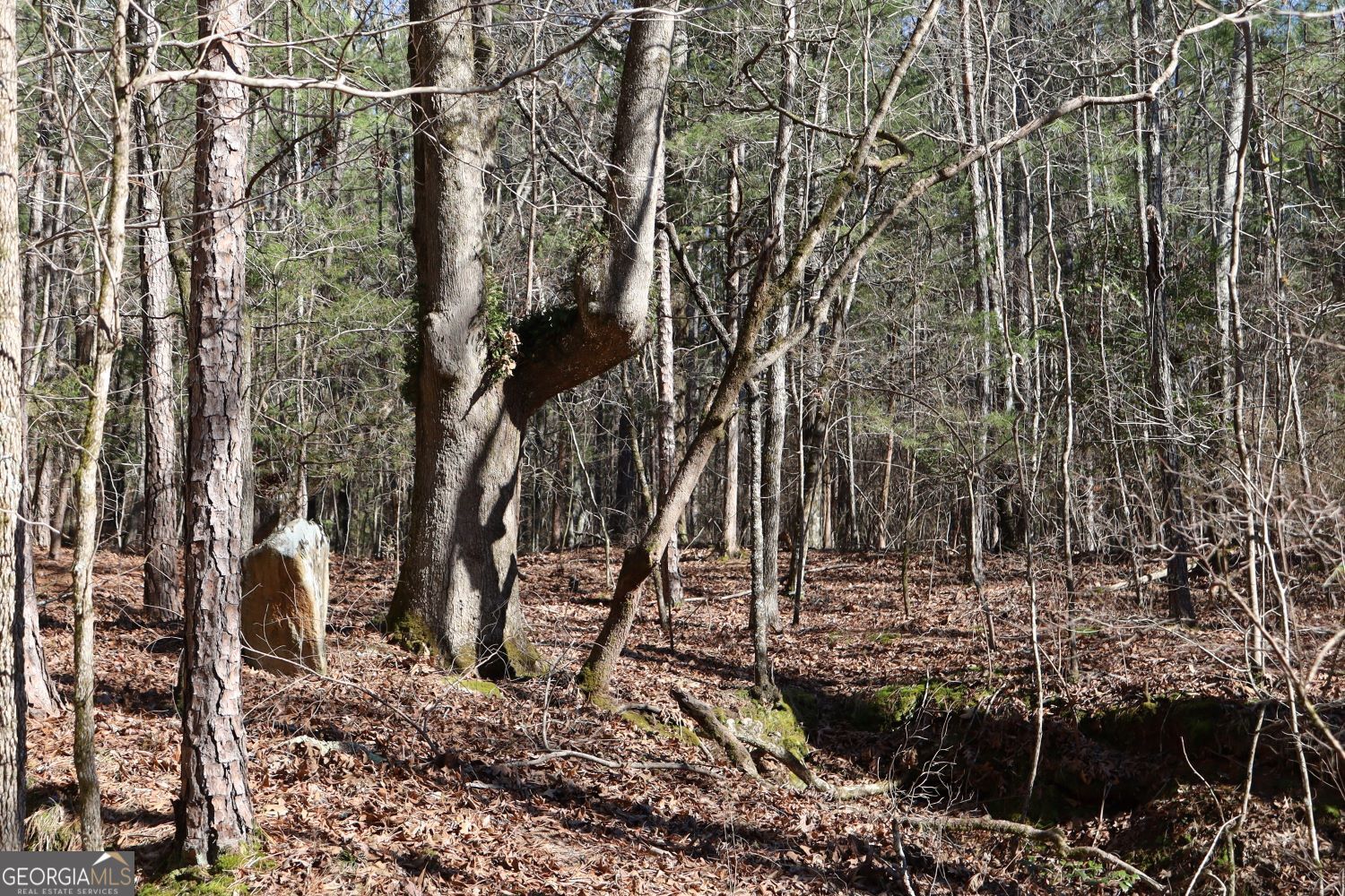 LOT 17 Blackberry Bend