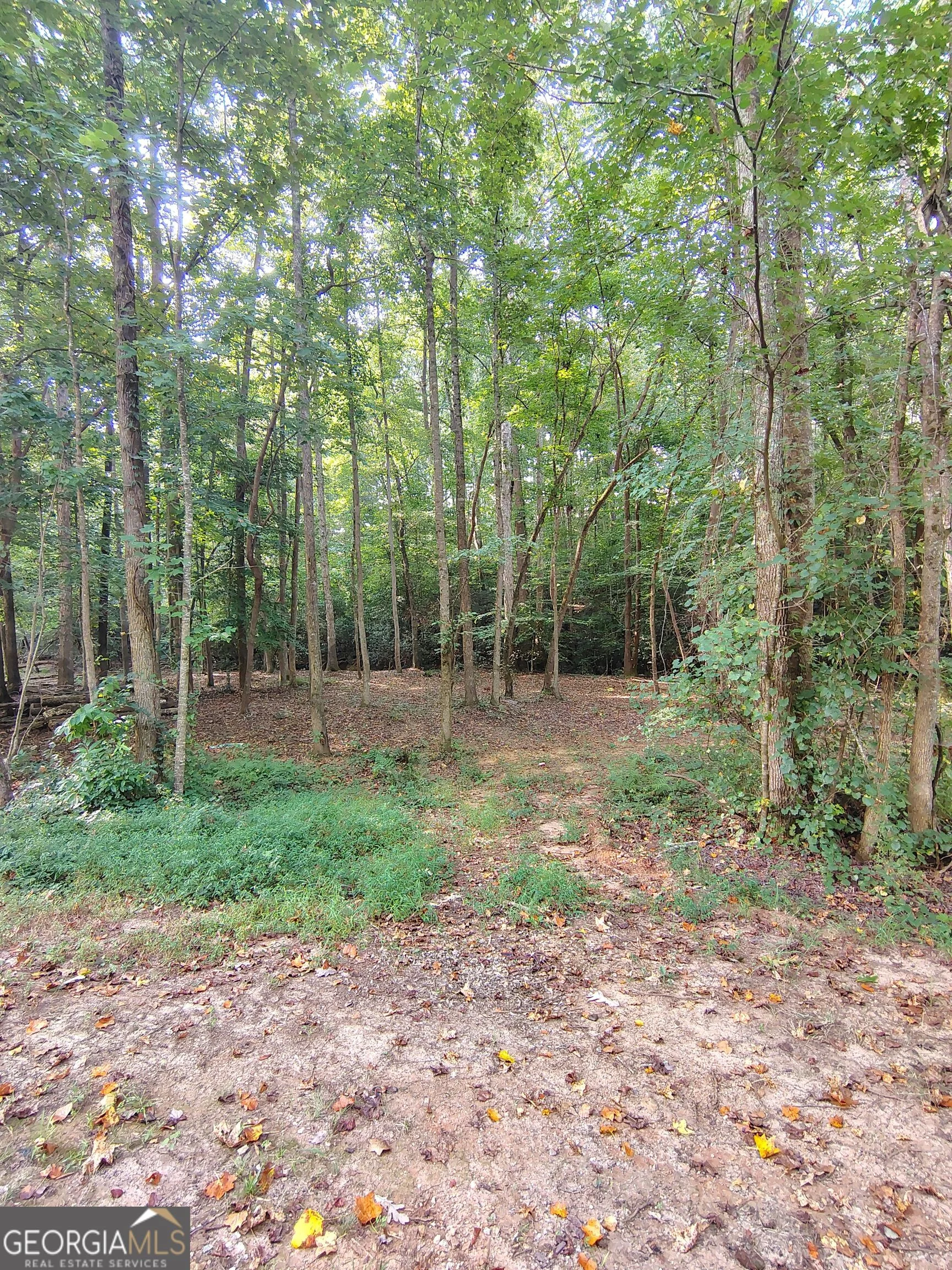261 Brad St, Royston, GA, 30662