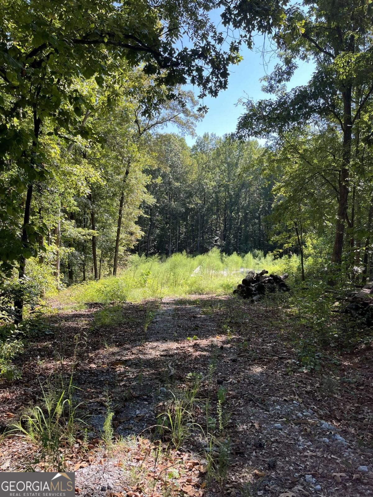 46 Creek RDG