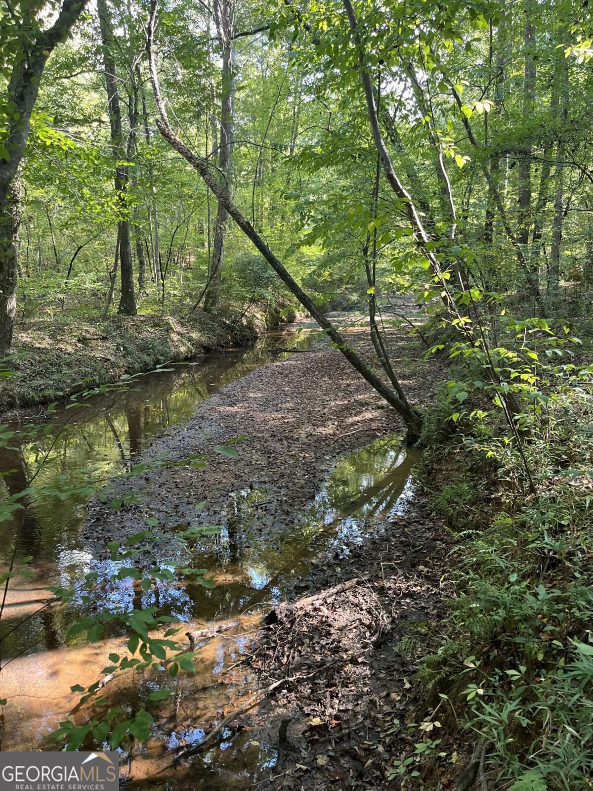 46 Creek RDG