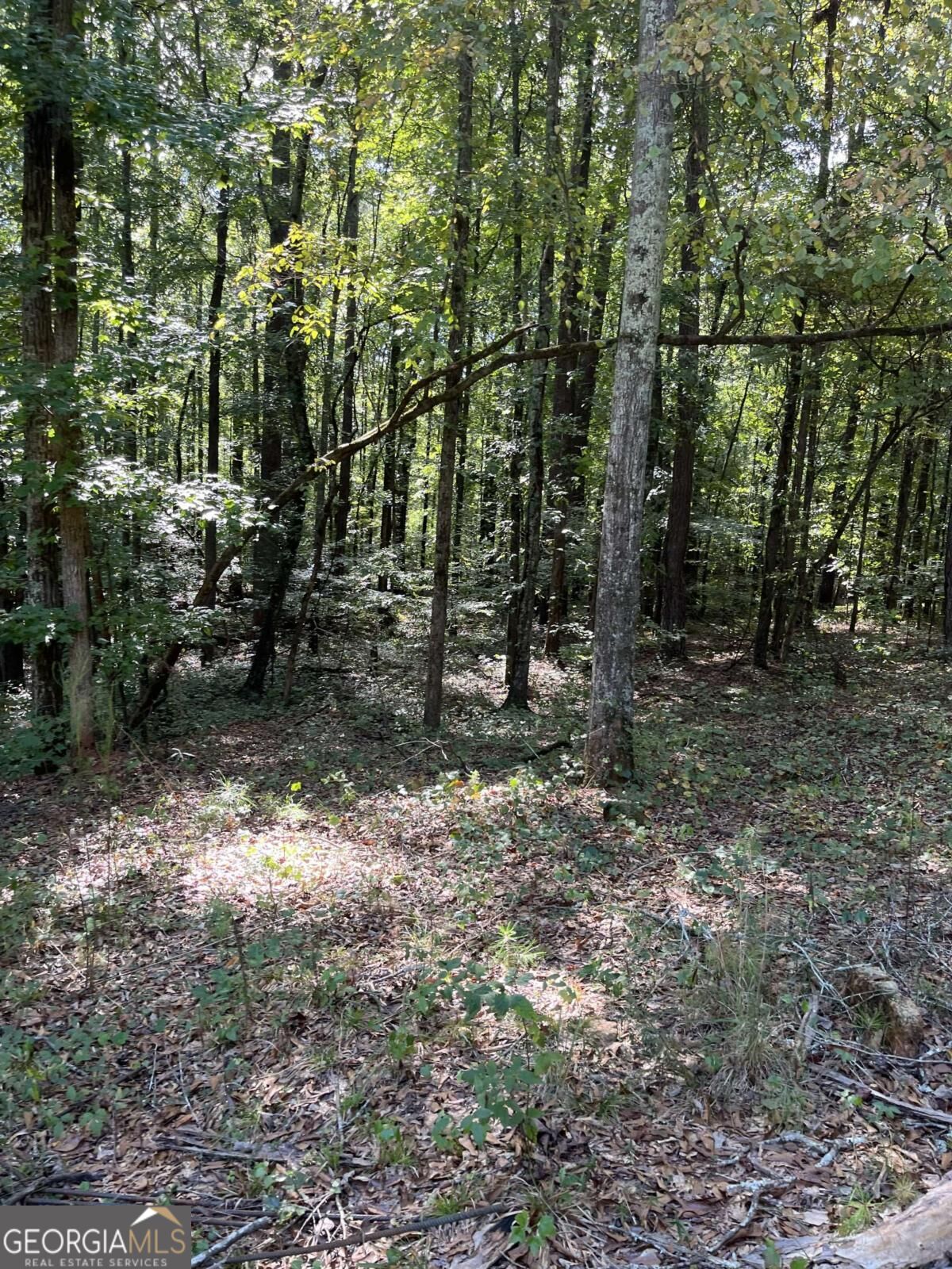 46 Creek RDG