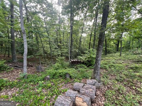 Unimproved Land in Fairmount GA 80 Little John Lane.jpg