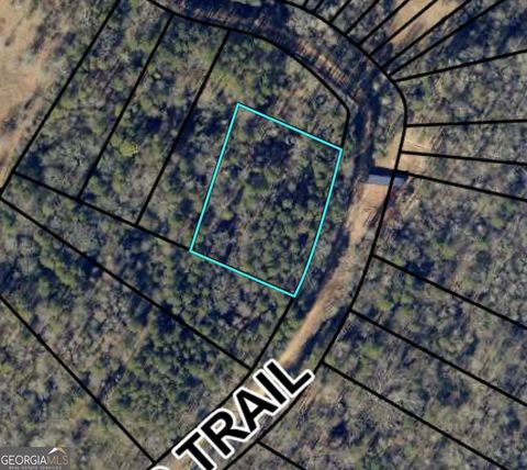 Photo of 0 Morris Trail LOT 1, Carnesville, GA 30521 (MLS # 10728897)