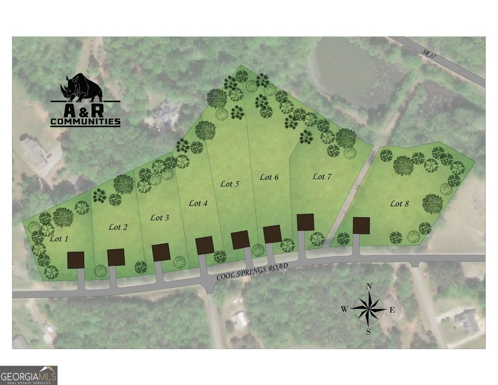 Photo of 289 Cool Springs Road, Clarkesville, GA 30523 (MLS # 10838188)