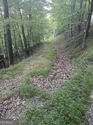 335 DEER RUN, MORGANTON, GA 30560 - Image febac13b570e48dcecefe3077d9ee06f/2751246729