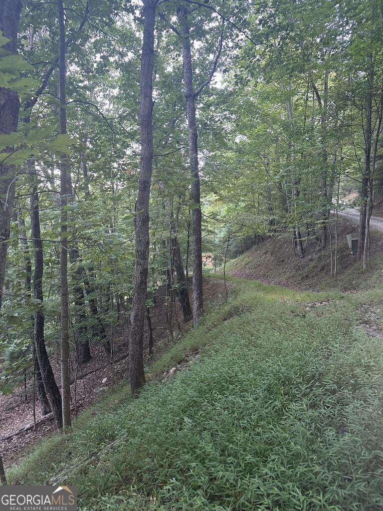 335 Deer Run LN