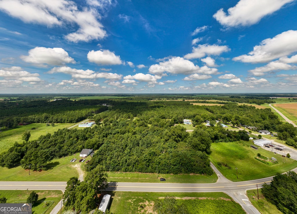 Photo of 28 Pineway Highway, Pineview, GA 31071 (MLS # 10787215)
