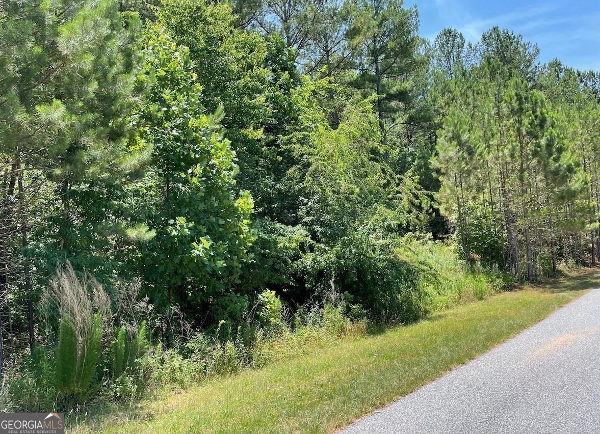 Wooded lot with circular rustic drive pushed in. Nice elevation with seasonal views. Paved Road development with Beautiful homes. Very Private development. Paved Rds, underground utilities. Close to Lake Nottley and Marina. 5.5 ish miles to town. Beautiful building site. 1 acre.