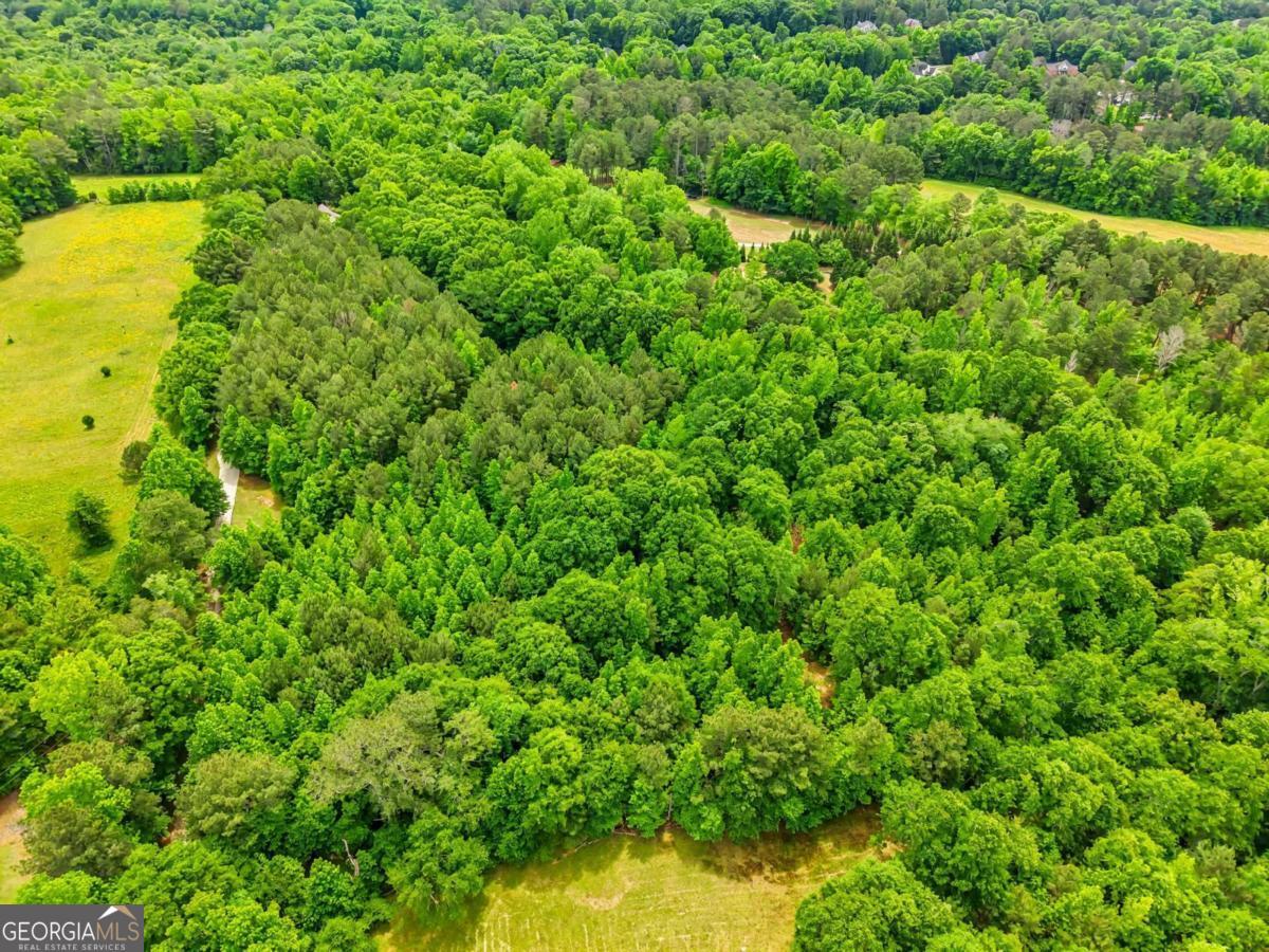 TRACT 5 McNutt Creek RD