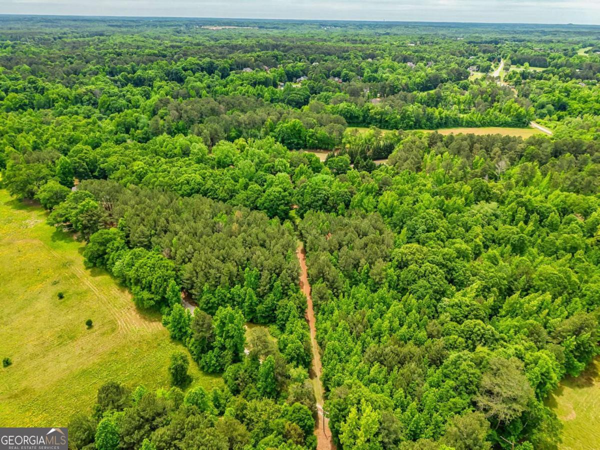 TRACT 5 McNutt Creek RD