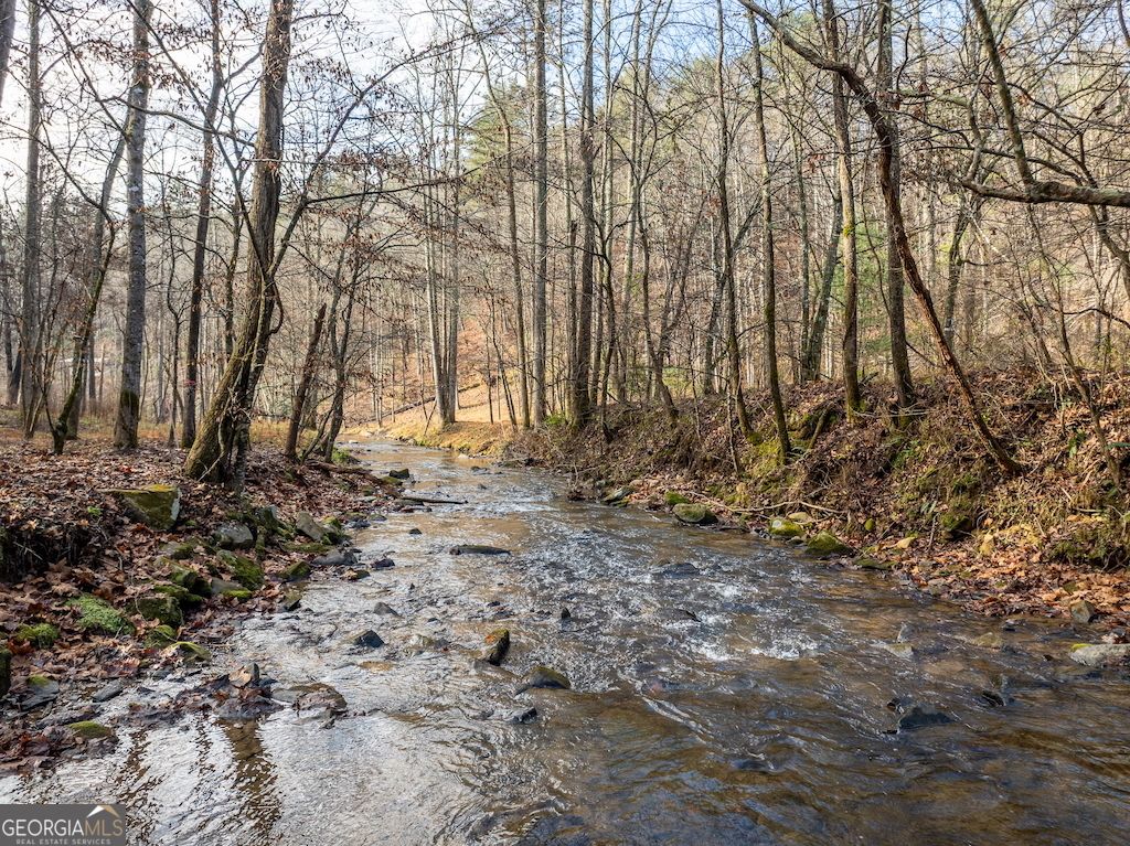 Photo of 894 Hap Holt Road, Ellijay, GA 30540 (MLS # 10657568)