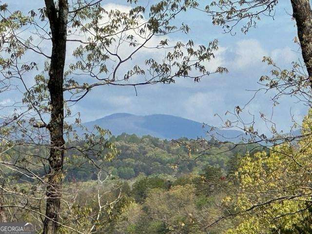 WELCOME TO THE MOUNTAINS... literally! Live on the top of your own mountain and be able to see others to NorthWest (Jasper/Big Canoe area); North (Dahlonega/Suches); and NorthEast (Blairsville/Helen). NO SUBDIVISION! NO HOA! Homesite cleared and ready for you to start building your own - 4.6 acres. 2+/- miles from Publix shopping center, Home Depot, and new Medical Center. 5+/- miles to downtown Dahlonega. 10+/- miles to all Dawsonville shopping! AND this property fronts the US Army Corps of Engineers property (surrounding the Chestatee River) at the base of this lot. SO, this gives you actual access to walk to the riverfront! TOO MUCH TO WRITE! There is gated access to the property, so no drive-by please!