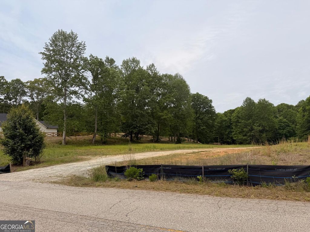 Photo of 405 Cooper Bridge Road, Braselton, GA 30517 (MLS # 10756942)