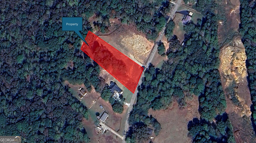 Photo of 405 Cooper Bridge Road, Braselton, GA 30517 (MLS # 10756942)