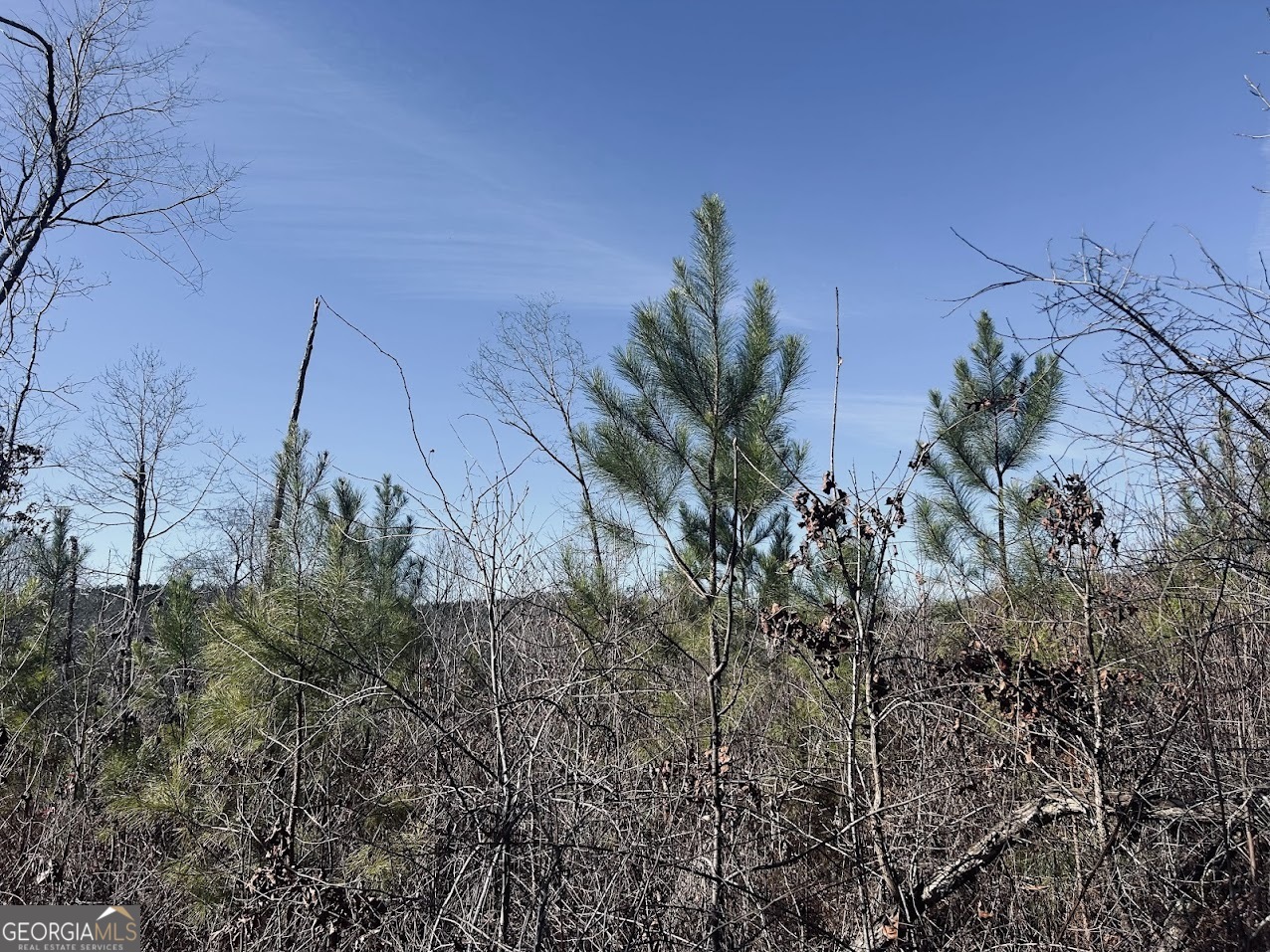 0 Old Highway 431 TRACT 1